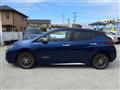 2019 Nissan Leaf