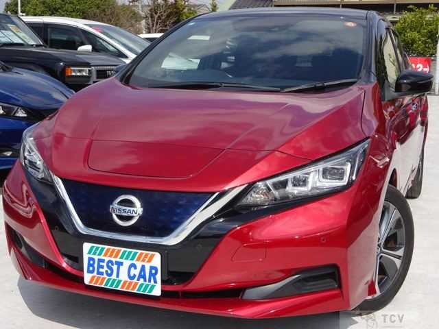 2019 Nissan Leaf