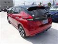 2019 Nissan Leaf