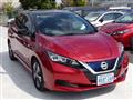2019 Nissan Leaf