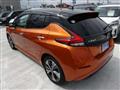 2021 Nissan Leaf