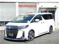 2020 Toyota Alphard G