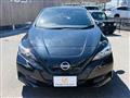 2021 Nissan Leaf