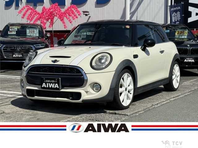 2016 Rover Mini