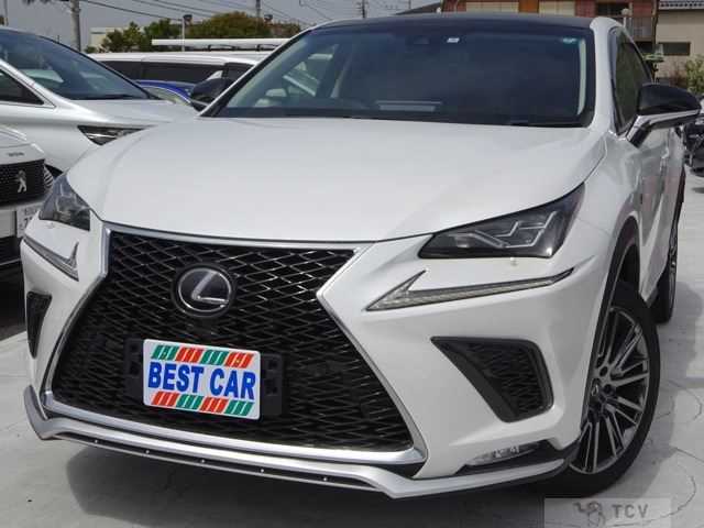 2018 Lexus Other