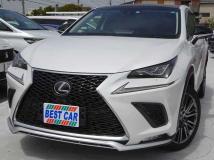 2018 Lexus Other
