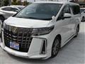 2020 Toyota Alphard G