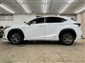 2019 Lexus Other