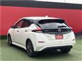 2021 Nissan Leaf
