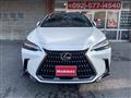 2023 Lexus Other
