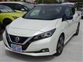 2017 Nissan Leaf
