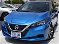 2020 Nissan Leaf