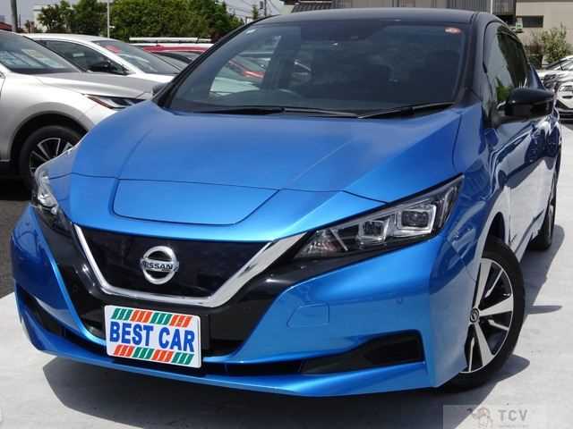 2020 Nissan Leaf