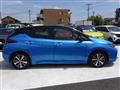 2020 Nissan Leaf