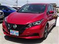2021 Nissan Leaf
