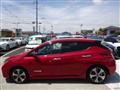 2021 Nissan Leaf