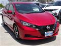 2021 Nissan Leaf