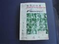 2014 Mitsubishi Fighter