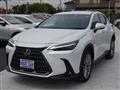 2023 Lexus Other