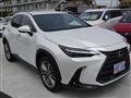 2023 Lexus Other