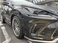 2020 Lexus Other
