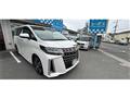 2019 Toyota Alphard G
