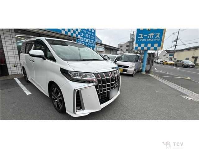 2019 Toyota Alphard G