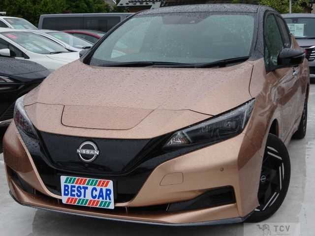 2022 Nissan Leaf
