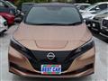 2022 Nissan Leaf