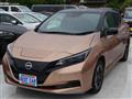 2022 Nissan Leaf