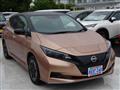 2022 Nissan Leaf