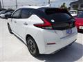 2022 Nissan Leaf