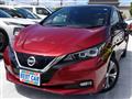 2019 Nissan Leaf