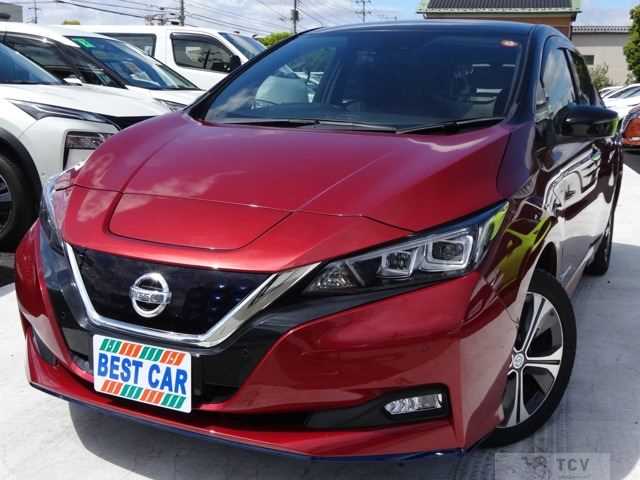 2019 Nissan Leaf