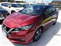 2019 Nissan Leaf