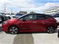 2019 Nissan Leaf