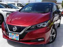 2019 Nissan Leaf