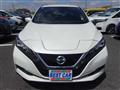 2021 Nissan Leaf
