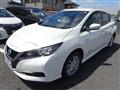 2021 Nissan Leaf