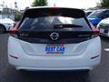 2021 Nissan Leaf