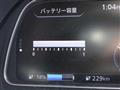 2021 Nissan Leaf