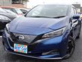 2022 Nissan Leaf