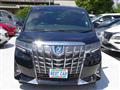 2021 Toyota Alphard G