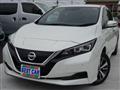 2019 Nissan Leaf