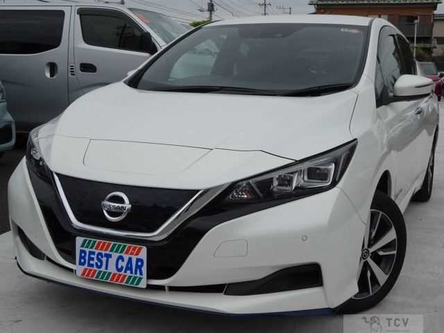 2019 Nissan Leaf