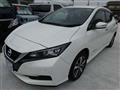 2019 Nissan Leaf