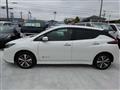 2019 Nissan Leaf