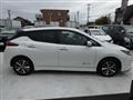 2019 Nissan Leaf