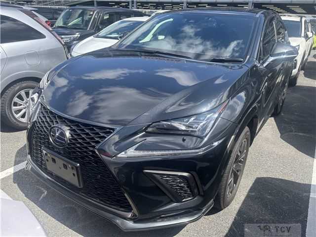 2020 Lexus Other