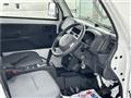 2019 Suzuki Carry Truck